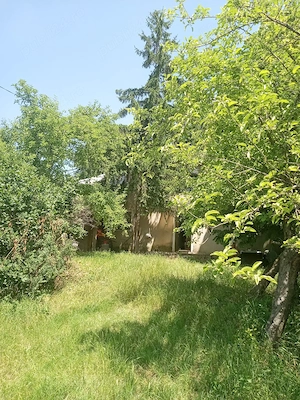 Teren 11000 mp și casa 200 mp - imagine 9