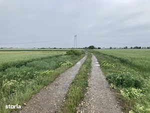 Teren intravilan de vanzare - Comuna Săbăreni, jud. Giurgiu   4083 mp + 718 mp drum de acces - imagine 3