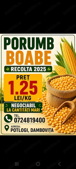 Vând 40 tone porumb boabe recolta 2025