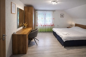 Casa pentru investitie in Govajdia - jud Hunedoara - imagine 4