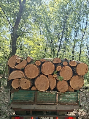 vand lemne de foc  