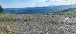 Teren de vanzare in sat Preluca comuna Horea judetul Alba