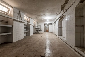 VANDUT! Spatiu comercial ,cu vitrina de  in zona Boul Rosu. - imagine 5