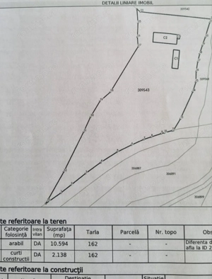 1,2 ha teren comercial/industrial cu hale in Baratca Paulis Arad - imagine 6