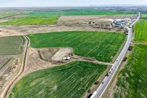 Teren Arad zona Lidl service DAF vest. Oportunitate Investitie! - imagine 4