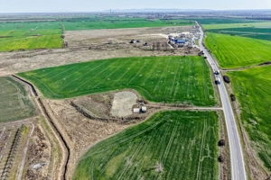 Teren Arad zona Lidl service DAF vest. Oportunitate Investitie! - imagine 5