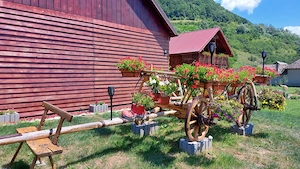 OFERTA SPECIALA !!!Vand car rustic vechi recent reconditionat