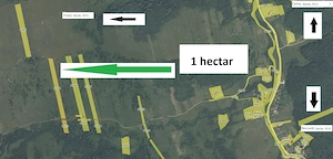 DE VÂNZARE: Două Terenuri în Poduri -  Jud. Bacău - Se vând și separat! - imagine 3