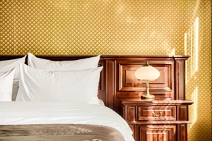 Oportunitate exclusivă de investiție: Hotel Best Western Central Arad - imagine 10