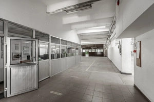 4.049 mp Hale industriale în Arad, aproape de A1 - imagine 19
