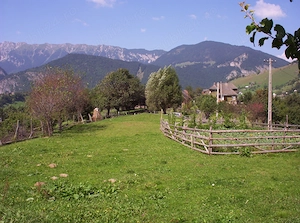 Teren Magura Moieciu cu panorama de exceptie