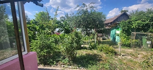 Casa cu teren de 1500mp la Bobda, Jud Timis - imagine 4