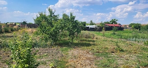 Casa cu teren de 1500mp la Bobda, Jud Timis - imagine 6