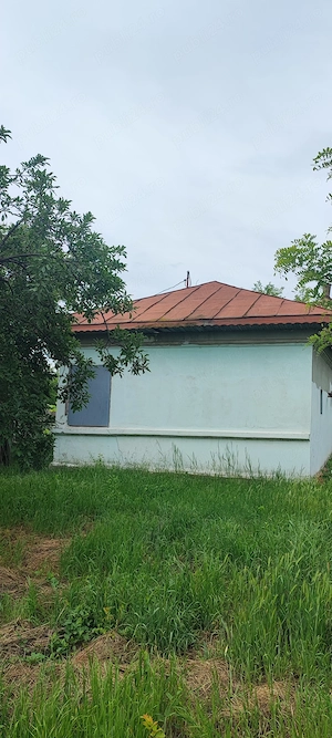 Casă bătrânească cu 1630 mp. Teren la preț de garsonieră  - imagine 3
