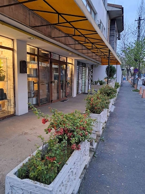 Brâncoveanu Regim hotelier 
