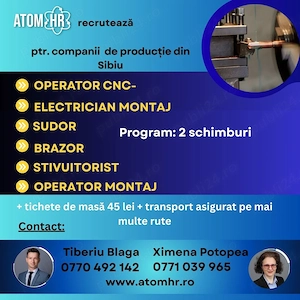 Atom HR angajează pe mai multe posturi în producție la o companie din Sibiu.