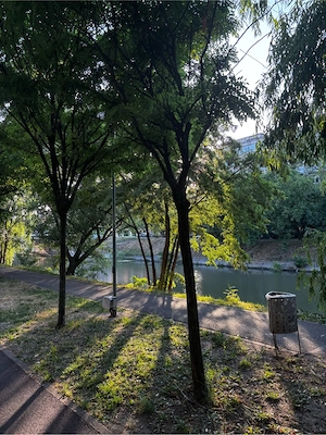 Apartament de vanzare Zona Iosefin