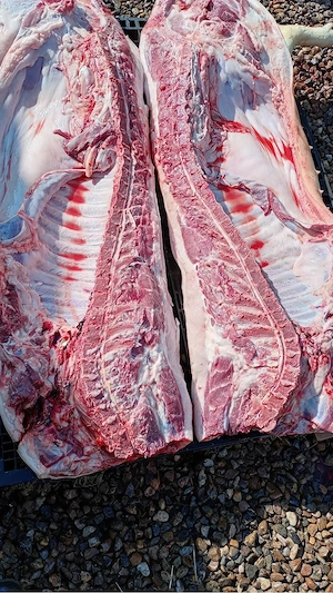 vand carcasa porc  - imagine 2