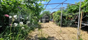 Casă 80 mp, teren 905 mp, dublă deschidere, zona Pielesti - imagine 17