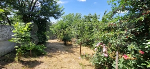 Casă 80 mp, teren 905 mp, dublă deschidere, zona Pielesti - imagine 19