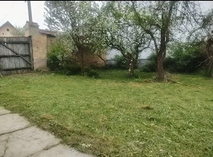 Casă spațioasă cu teren generos de 2241mp in Cincu - imagine 5