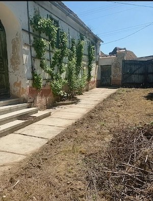 Casă spațioasă cu teren generos de 2241mp in Cincu - imagine 3