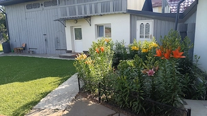 Casa cu gradina - imagine 5