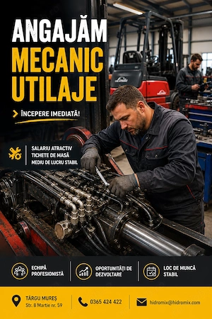 Mecanic Utilaje industriale și sau de construcții