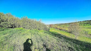 Cristesti, 10 km de BT, teren 1800 mp intravilan - imagine 2