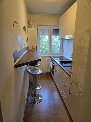 Apartament 2 Camere Centrală Proprie Zona Take Ionescu  - imagine 4