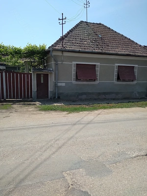 Vand 2 case in localitatea Gurbediu