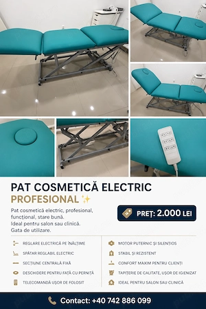 Pat cosmetică electric profesional