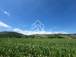 Teren Intravilan 6.200 mp| acces direct la râul Mureș| zona Vurpăr