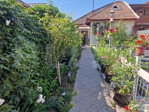 Casă individuală P+M, 88.62 mp, teren 188 mp, Cluj-Napoca - imagine 3