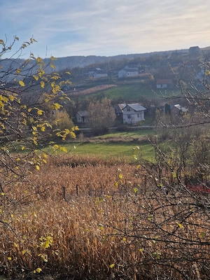 Vand teren intravilan si extravilan  in Comuna  Mociu  , Comuna Camarasu - imagine 4