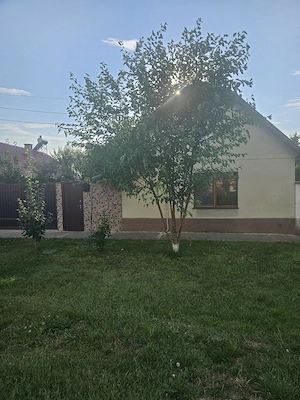 Casă Cărămidă RENOVATĂ | ÎNCĂLZIRE CENTRALĂ | Teren 1700 mp   Grabaț, Timiș (Gata de Mutat)