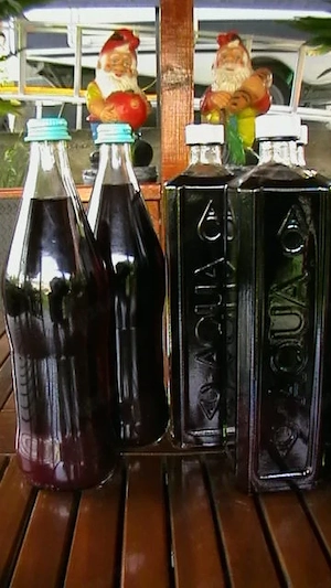 Sirop din coacaze negre