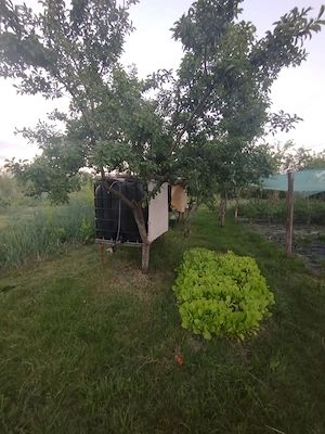 Casa de Vanzare - Lunca Corbului (proprietar) - imagine 4