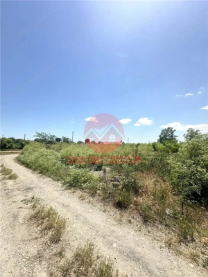 Teren Intravilan 1700 mp - Localitatea Amzacea - imagine 6