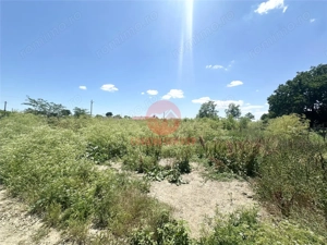 Teren Intravilan 1700 mp - Localitatea Amzacea - imagine 3