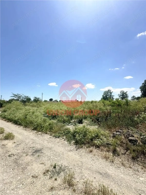 Teren Intravilan 1700 mp - Localitatea Amzacea - imagine 5