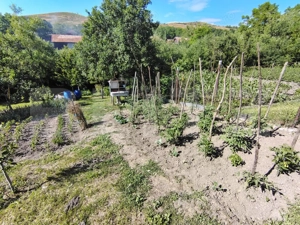 Casa individuala 70 mp, teren 926 mp, in Gădălin, Comuna Jucu - imagine 14
