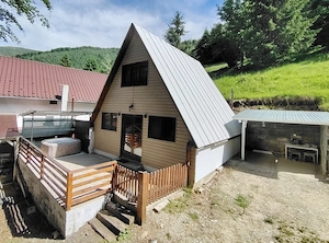 Casa de vacanta  de vânzare --închiriere  Râușor-Retezat