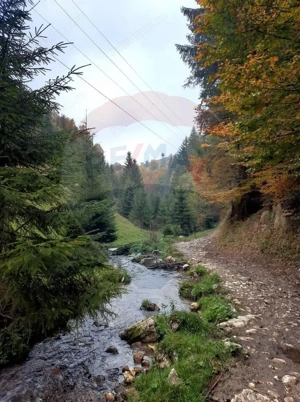 Teren 38,704mp Sirnea | 2.000 mp Intravilan | 36,704 Extravilan - imagine 3