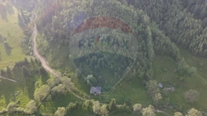 Teren 38,704mp Sirnea | 2.000 mp Intravilan | 36,704 Extravilan - imagine 13
