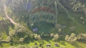 Teren 38,704mp Sirnea | 2.000 mp Intravilan | 36,704 Extravilan - imagine 12