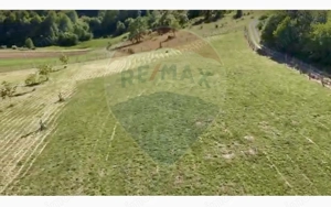 Teren  20.170mp   | Livada | Suncuius, Bihor - imagine 10