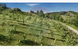 Teren  20.170mp   | Livada | Suncuius, Bihor