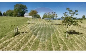 Teren  20.170mp   | Livada | Suncuius, Bihor - imagine 13