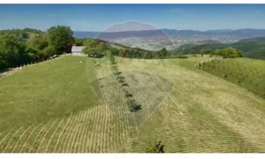 Teren  20.170mp   | Livada | Suncuius, Bihor - imagine 4
